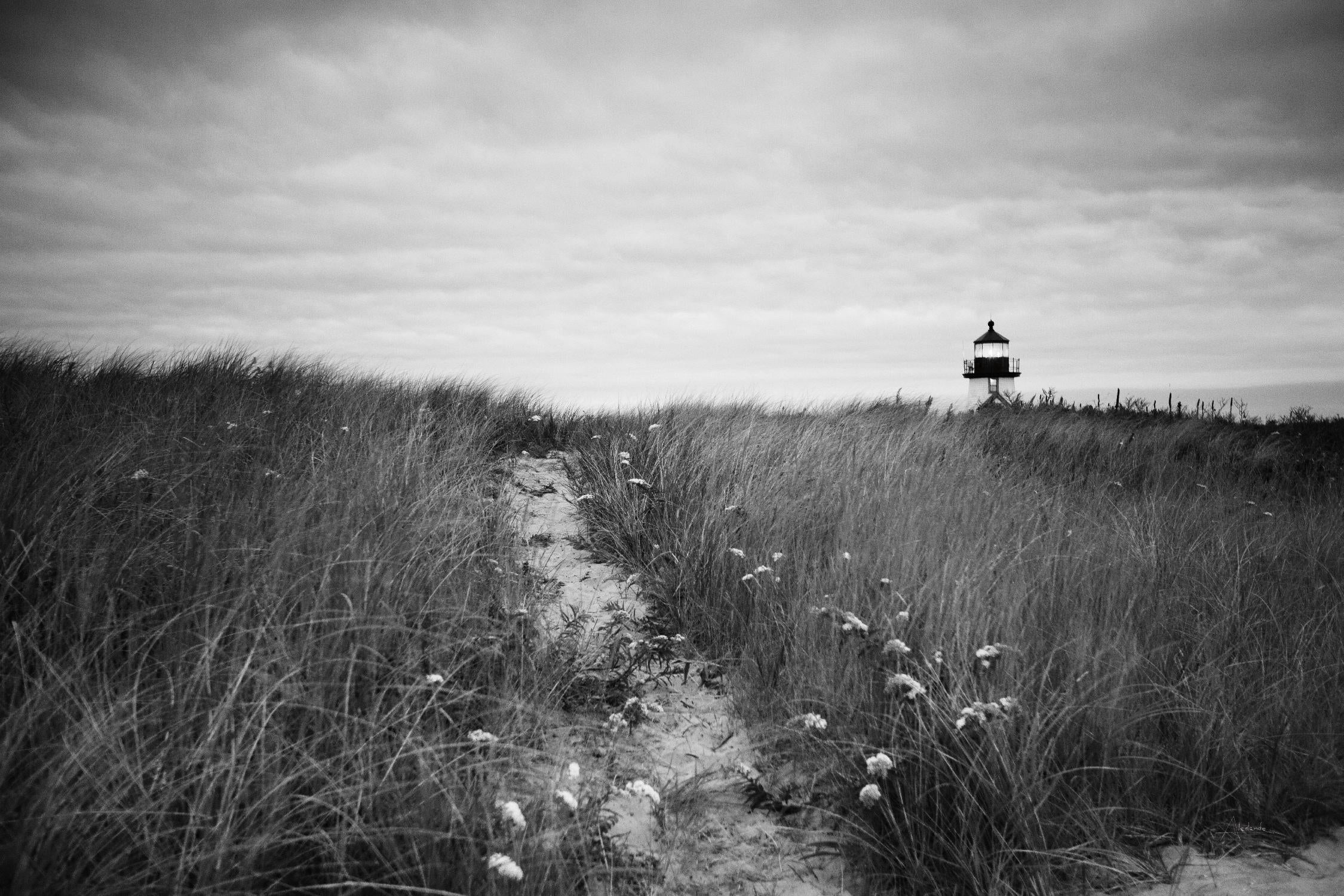 Nantucket Light by Aledanda on GIANT ART - coastal & nautical beach