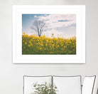 Spring Meadow by Aledanda on GIANT ART - blue flowers flowers