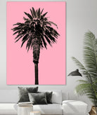 Palm Tree 1996 (Pink) by Erik Asla on GIANT ART - multicolor photography; contemporary