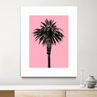 Palm Tree 1996 (Pink) by Erik Asla on GIANT ART - multicolor photography; contemporary