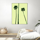 Palm Trees 2000 (Cyan) by Erik Asla on GIANT ART - multicolor photography; contemporary
