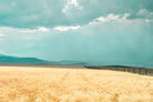 Harvest Shadow by Annie Bailey Art on GIANT ART - blue,beige landscapes, photography, farms, hills