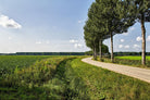 The Road Ahead by Chuck Burdick on GIANT ART - multicolor photography; landscapes