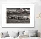 Mountain Range Mavericks by Lisa Dearing on GIANT ART - multicolor photography; animals