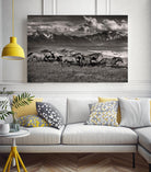 Mountain Range Mavericks by Lisa Dearing on GIANT ART - multicolor photography; animals
