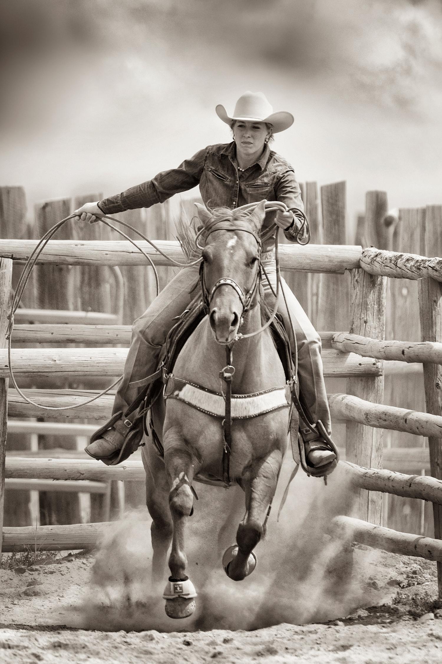 Ride ‘Em Cowgirl by Lisa Dearing on GIANT ART - multicolor photography; animals; figurative