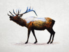 Rocky Mountain Elk by Davies Babies on GIANT ART - white animals