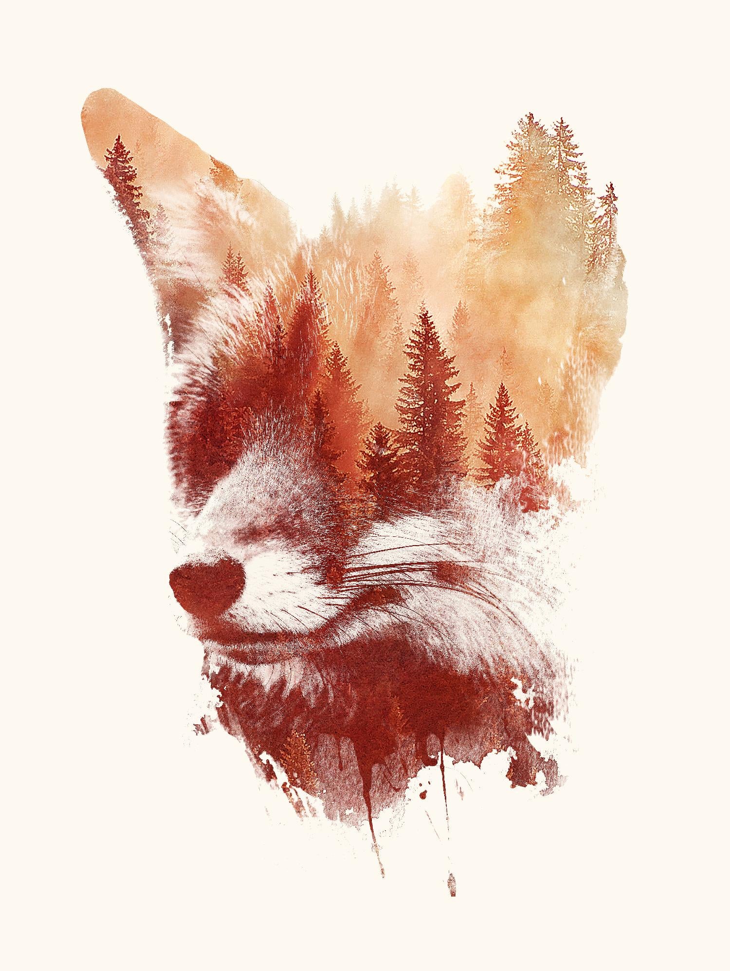 Blind Fox by Robert Farkas on GIANT ART - orange animals