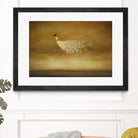 Freeform by Duy Huynh on GIANT ART - brown fantastic