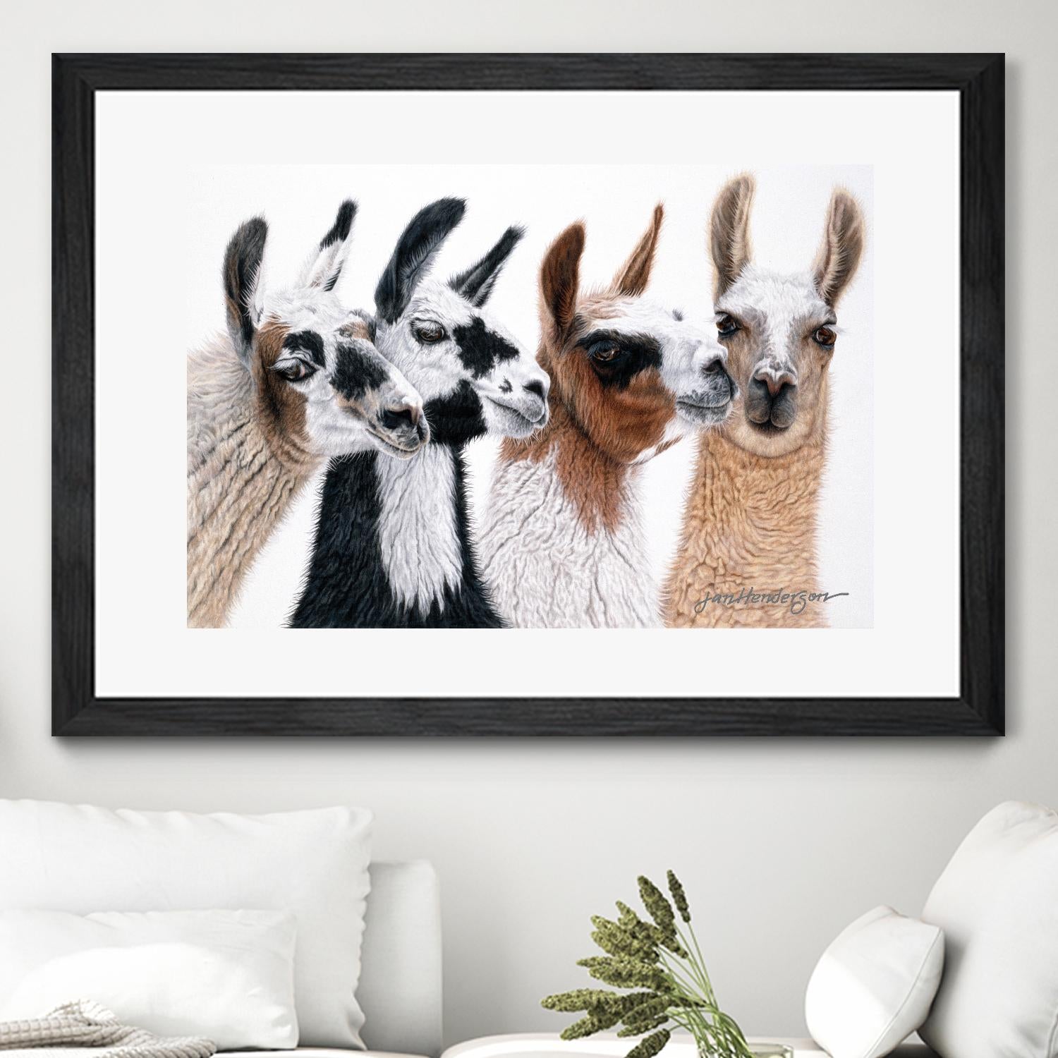 Peruvian Visitors by Jan Henderson on GIANT ART - multicolor animals; photography