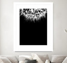 Crystal II by Incado on GIANT ART - multicolor photography; floral/still life
