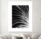 White Feather by Incado on GIANT ART - multicolor photography; floral/still life