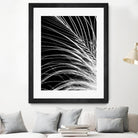 White Feather by Incado on GIANT ART - multicolor photography; floral/still life