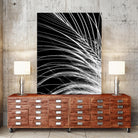 White Feather by Incado on GIANT ART - multicolor photography; floral/still life