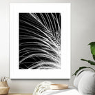 White Feather by Incado on GIANT ART - multicolor photography; floral/still life