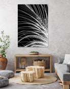 White Feather by Incado on GIANT ART - multicolor photography; floral/still life