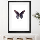 Enjoy Life by TypeLike on GIANT ART - multicolor animals
