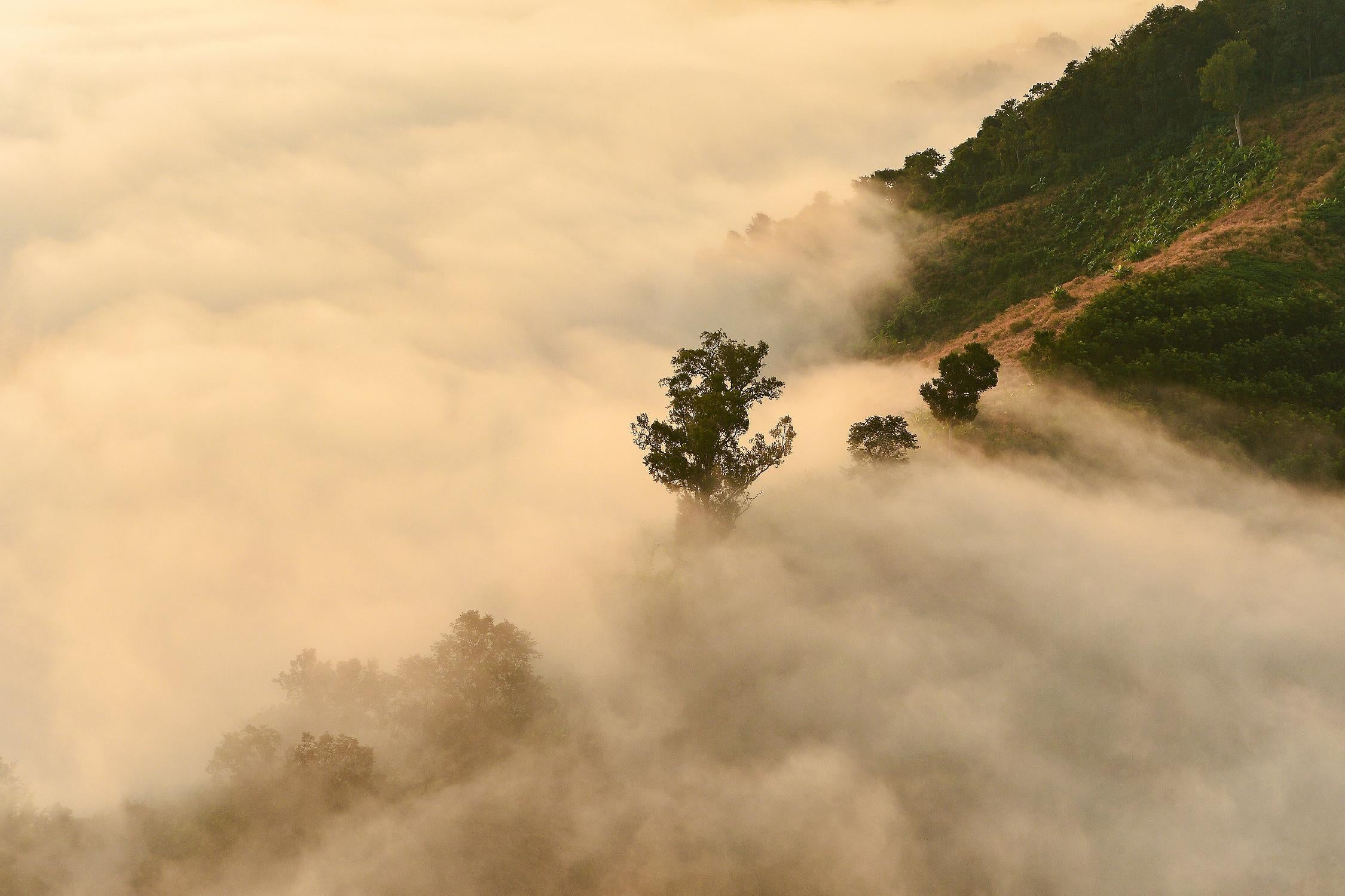 Clouds by PhotoINC Studio on GIANT ART - multicolor photography; landscapes