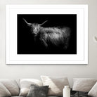 Hello by PhotoINC Studio on GIANT ART - multicolor animals; photography