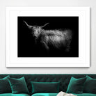 Hello by PhotoINC Studio on GIANT ART - multicolor animals; photography
