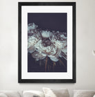 Romantic by PhotoINC Studio on GIANT ART - multicolor floral/still life; photography