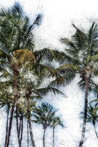 Dorado Palms 2 by Golie Miamee on GIANT ART - multicolor photography; landscapes