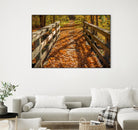 Fall On The Footbridge by Tim Oldford on GIANT ART - multicolor photography; landscapes