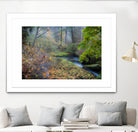 Snow in Fall by Tim Oldford on GIANT ART - multicolor photography; landscapes