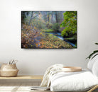 Snow in Fall by Tim Oldford on GIANT ART - multicolor photography; landscapes