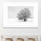 Depth of Field by Matthew Platz on GIANT ART - multicolor photography; landscapes