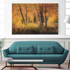 The Other Side by Matthew Platz on GIANT ART - multicolor photography; landscapes