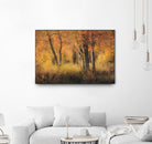 The Other Side by Matthew Platz on GIANT ART - multicolor photography; landscapes