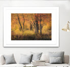 The Other Side by Matthew Platz on GIANT ART - multicolor photography; landscapes
