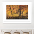The Other Side by Matthew Platz on GIANT ART - multicolor photography; landscapes