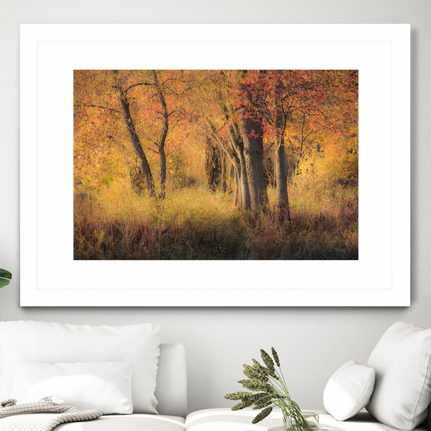 The Other Side by Matthew Platz on GIANT ART - multicolor photography; landscapes