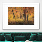 The Other Side by Matthew Platz on GIANT ART - multicolor photography; landscapes