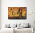 The Other Side by Matthew Platz on GIANT ART - multicolor photography; landscapes