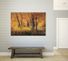The Other Side by Matthew Platz on GIANT ART - multicolor photography; landscapes