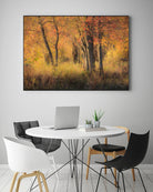 The Other Side by Matthew Platz on GIANT ART - multicolor photography; landscapes