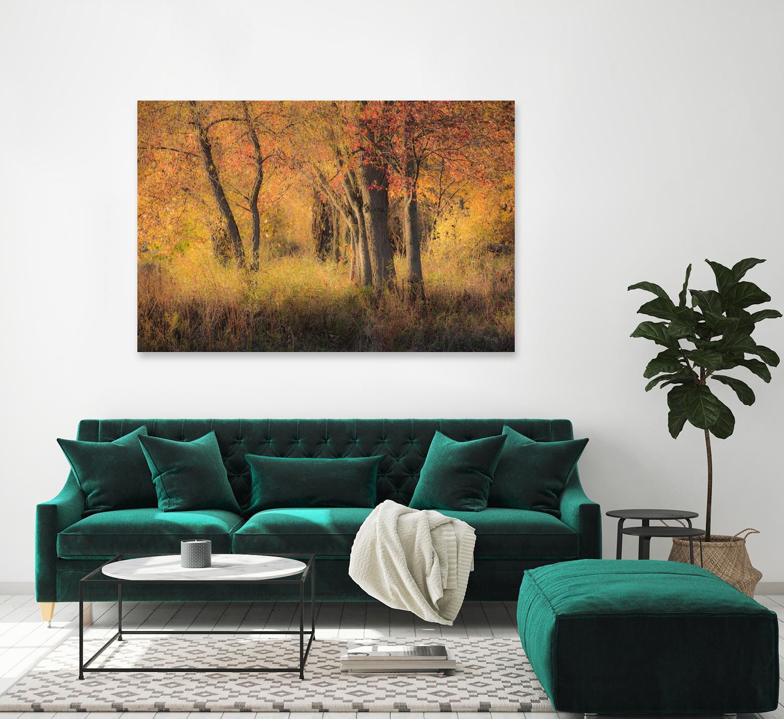 The Other Side by Matthew Platz on GIANT ART - multicolor photography; landscapes