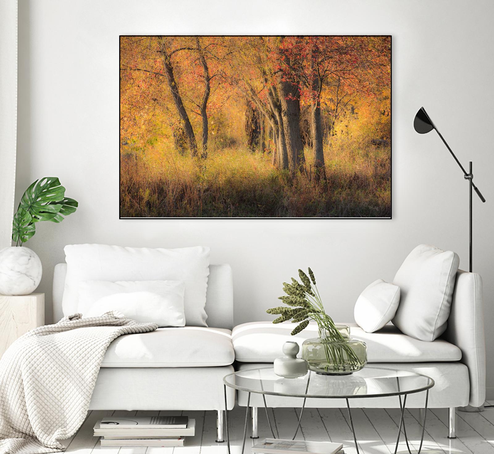 The Other Side by Matthew Platz on GIANT ART - multicolor photography; landscapes