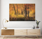 The Other Side by Matthew Platz on GIANT ART - multicolor photography; landscapes