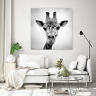 Giraffe by PhotoINC Studio on GIANT ART - white animals