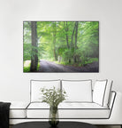 Frenzy Green by Anne Schneidersmann on GIANT ART - multicolor photography; landscapes