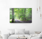Frenzy Green by Anne Schneidersmann on GIANT ART - multicolor photography; landscapes