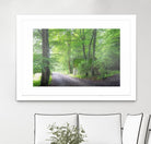 Frenzy Green by Anne Schneidersmann on GIANT ART - multicolor photography; landscapes