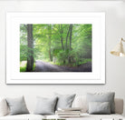 Frenzy Green by Anne Schneidersmann on GIANT ART - multicolor photography; landscapes