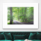 Frenzy Green by Anne Schneidersmann on GIANT ART - multicolor photography; landscapes