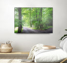 Frenzy Green by Anne Schneidersmann on GIANT ART - multicolor photography; landscapes