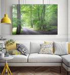 Frenzy Green by Anne Schneidersmann on GIANT ART - multicolor photography; landscapes